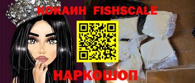 спиды Кингисепп