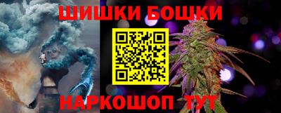 спиды Кингисепп