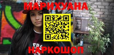 спиды Кингисепп