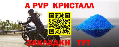 спиды Кингисепп