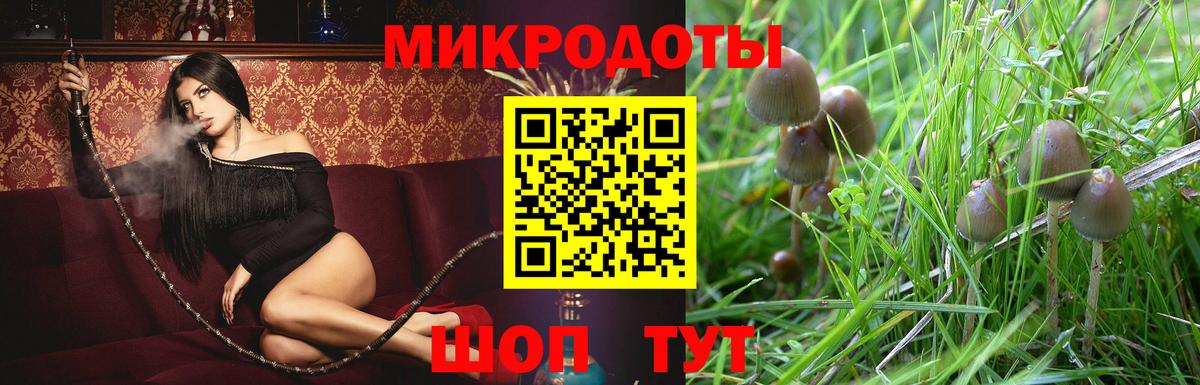 Псилоцибиновые грибы MAGIC MUSHROOMS Крымск
